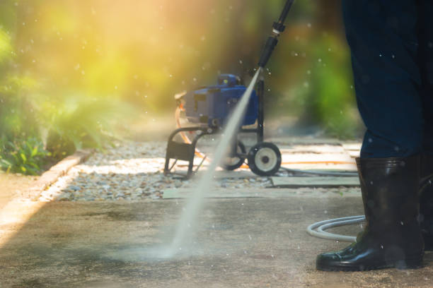 Best Animal Enclosure Cleaning  in Lambertville, NJ